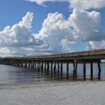 article image -
